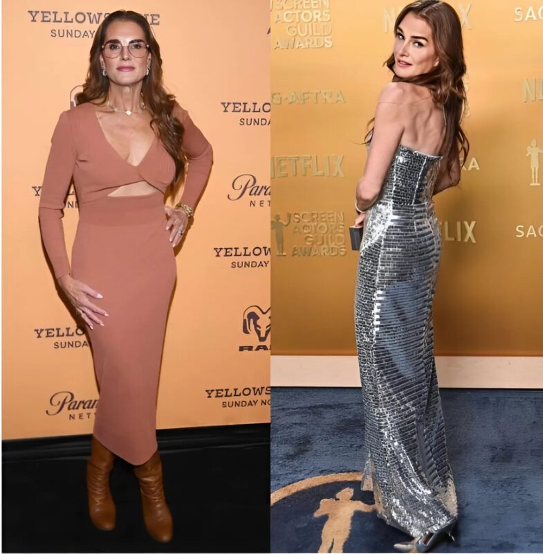 „Ozempic in Hollywood: Die erstaunlichen Transformationen der Stars und ihr Einfluss auf die Wahrnehmung von Schönheit überraschen uns weiterhin!“
