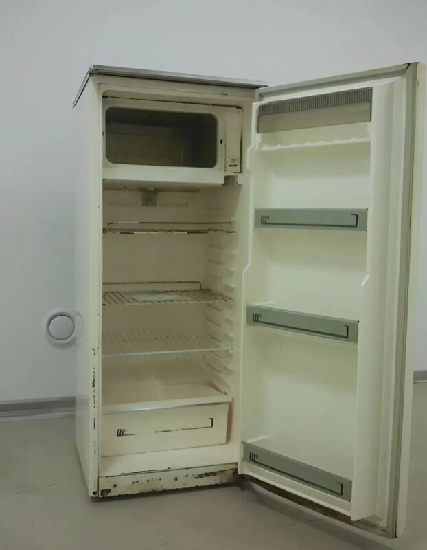 Er hat einen alten Kühlschrank in seinem Garten vergraben... und was er daraus gemacht hat, wird Sie überraschen.