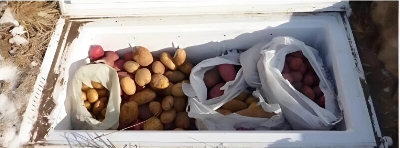 Er hat einen alten Kühlschrank in seinem Garten vergraben... und was er daraus gemacht hat, wird Sie überraschen.