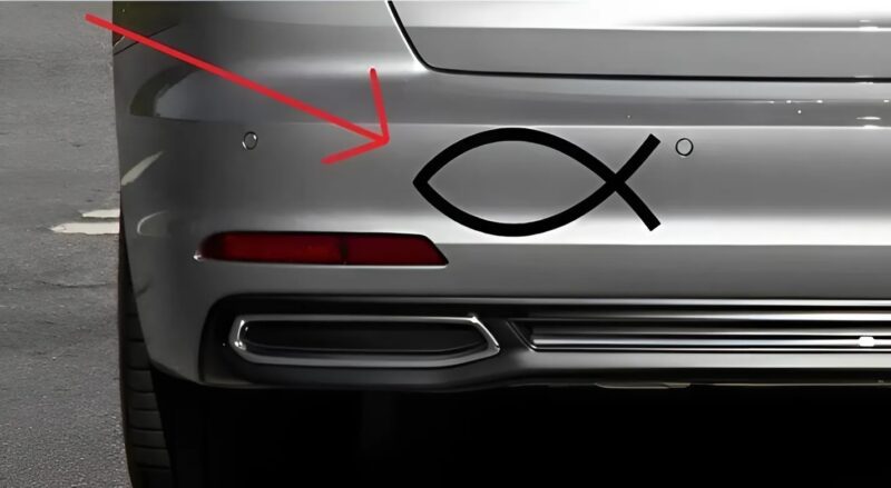 Das Symbol des Fisches auf Autofenstern: Was bedeutet es wirklich?