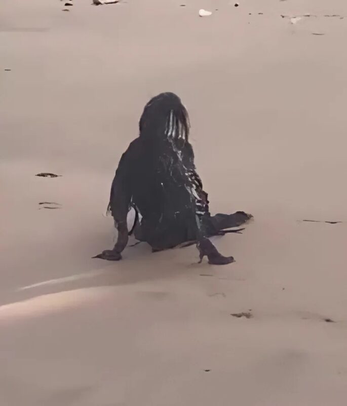 Was ich an diesem Tag am Strand sah, hat mich zutiefst erschreckt… bis ich die Wahrheit entdeckte.