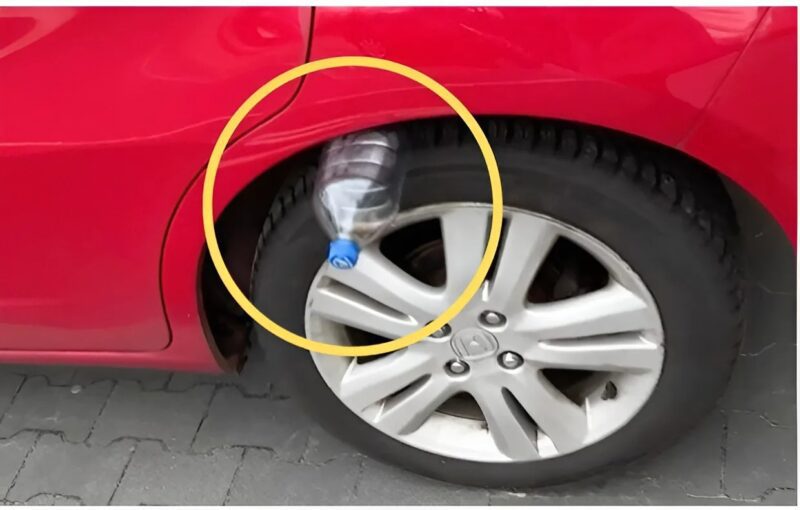 SICHERHEITSALARM: Eine geniale Betrugsmasche bedroht Autofahrer weltweit