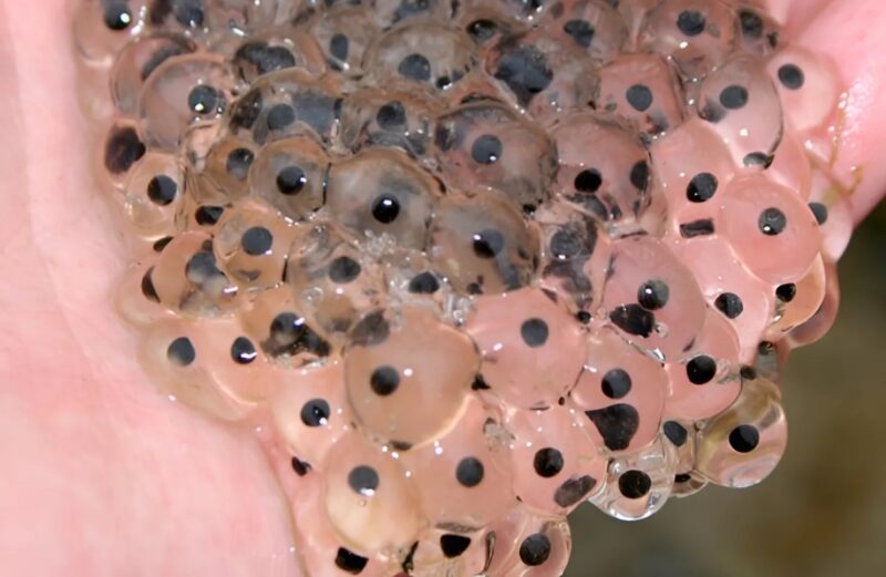 Ich hätte nie gedacht, dass mich ein ganz gewöhnlicher Morgen vor ein echtes Rätsel stellen würde