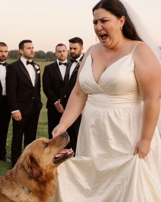 Im Herzen der Hochzeitsfeier enthüllt ein Dorfhund ein erschreckendes Geheimnis unter dem Kleid
