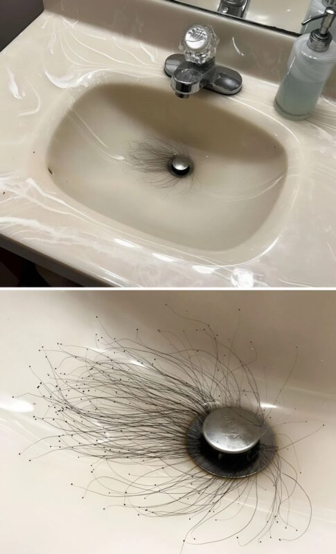 Eine unerwartete Entdeckung in meinem Waschbecken: Ein seltsames Rätsel, das meinen Tag erschütterte