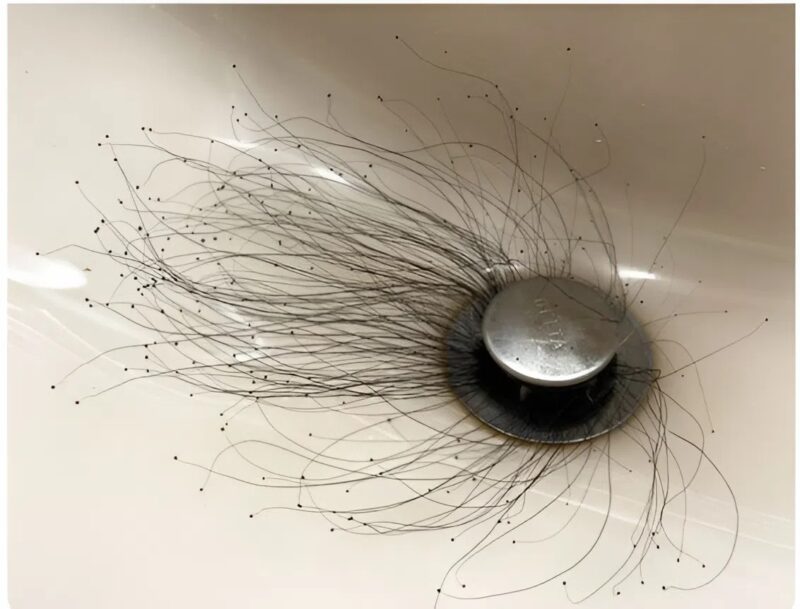 Eine unerwartete Entdeckung in meinem Waschbecken: Ein seltsames Rätsel, das meinen Tag erschütterte